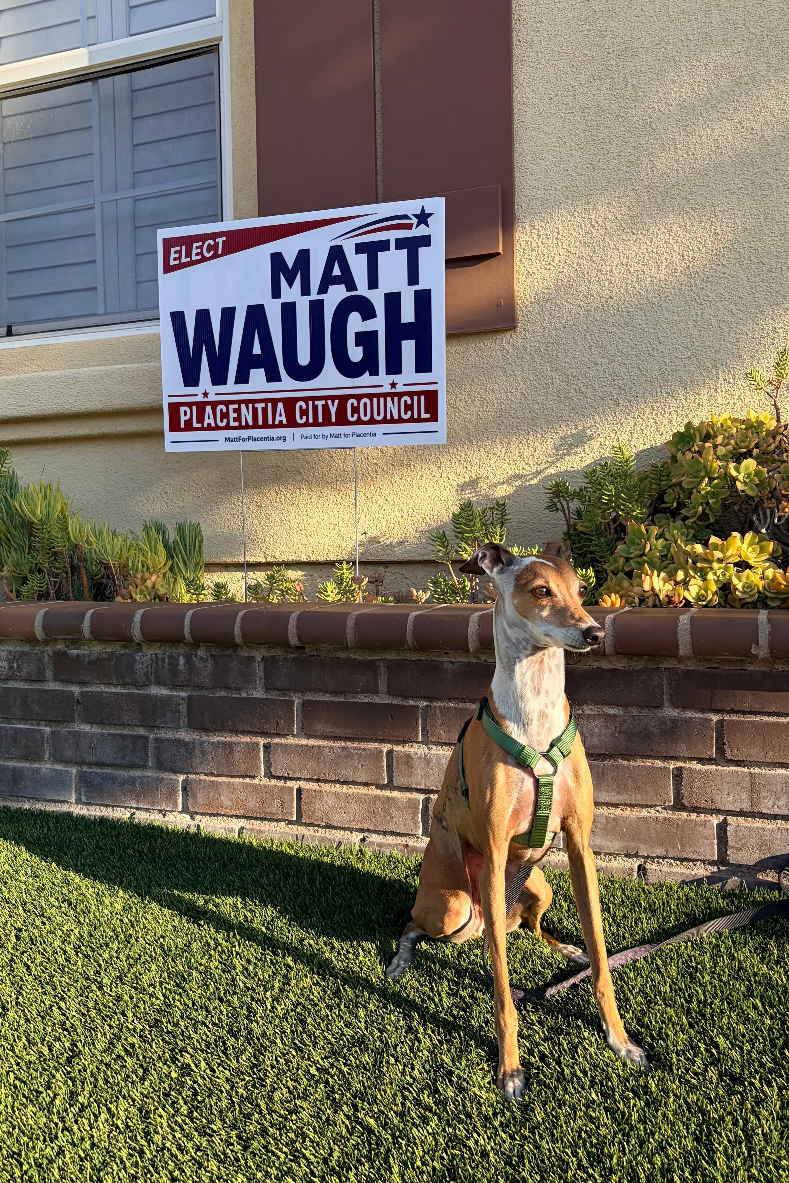 Matt Waugh with his dog at a campaign yard sign